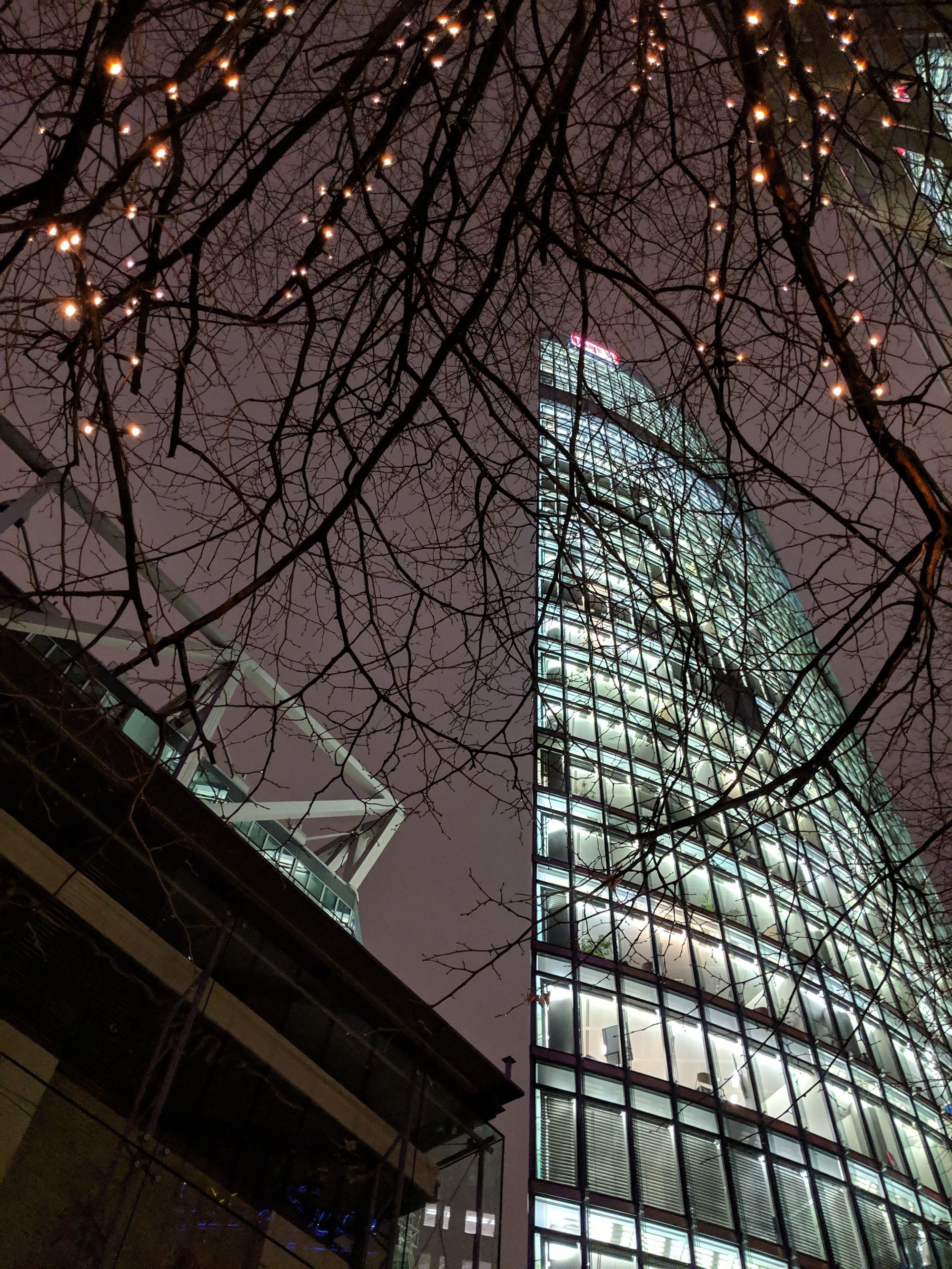 A night picture of a tree in winter, in front of a glass skyscraper with all the lights on. Taken with Pixel 2.